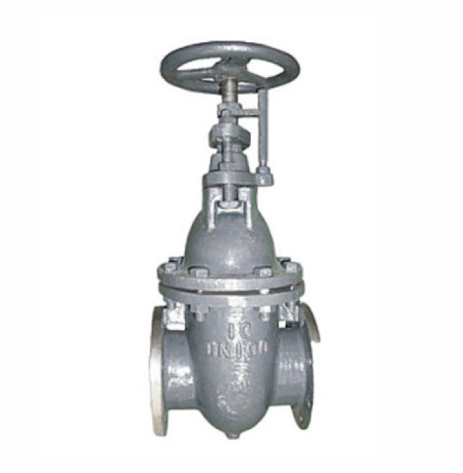 Marine Flanged Cast Steel Gate Valve