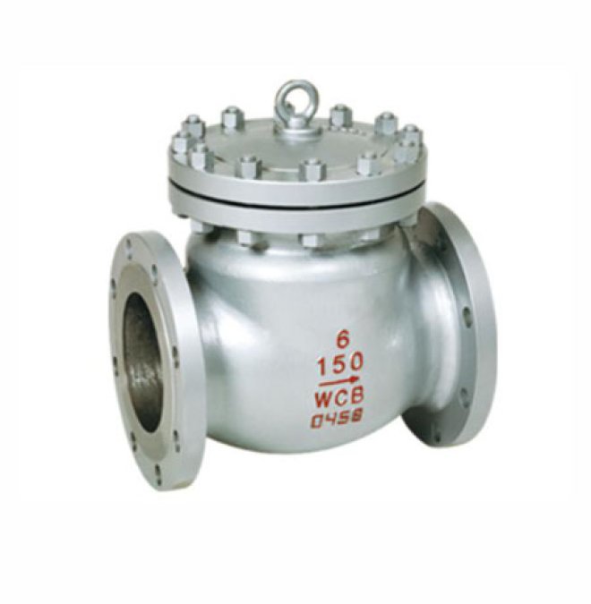 Cast Steel check valve
