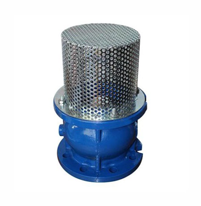 Flanged Foot Valve