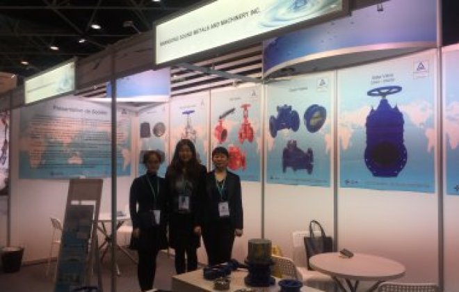 Shandong Sound Metals and Machinery Inc. joined the 27th POLLUTEC exhibition in Lyon ,France